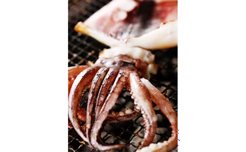 【毎月_定期便 全3回】日本海産柔らか肉厚のスルメイカ一夜干し(大)3枚 全3回　 魚貝類 イカ いか スルメイカ お酒 つまみ 特大 新鮮 保存 冷凍 国産 酒の肴 酒のつまみ myz02 myz10 myz11 myz17