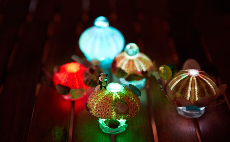 螳ョ豢・繝サ螟ゥ讖狗ォ九ョ繧「繧ッ繝繧」繝薙ユ繧」縺ァ菴ソ縺医k繧ッ繝シ繝昴Φ蛻ク5,000蜀蛻