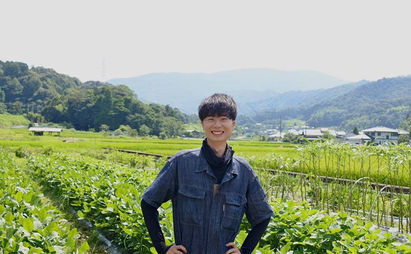 京éœåºç£ããµããã€ã¢ (çŽ
ã¯ãã) 5kgãæ œå¹æéäžèŸ²è¬ã»ååŠè¥æã»é€èå€äžäœ¿çš