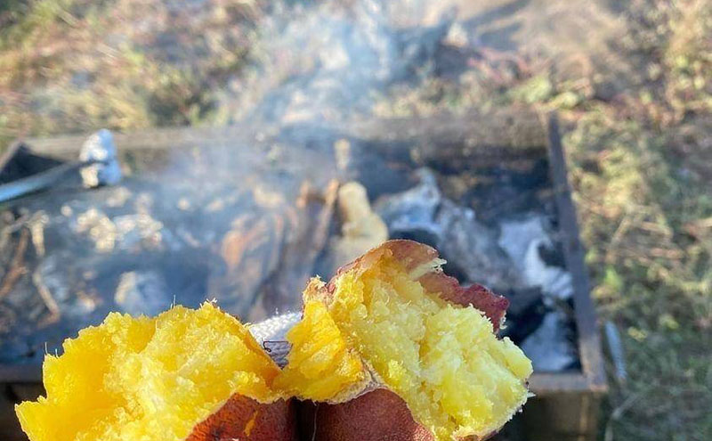 京éœåºç£ããµããã€ã¢ (çŽ
ã¯ãã) 3kgãæ œå¹æéäžèŸ²è¬ã»ååŠè¥æã»é€èå€äžäœ¿çš