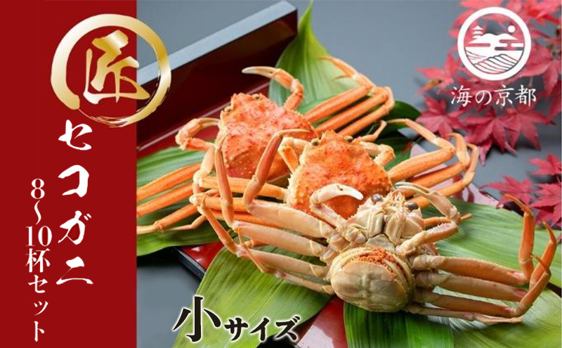 セコガニ コッペがに 小サイズ 8～10杯セット （冷蔵）〈11月中旬～12月下旬発送〉  蟹 カニ かに 松葉蟹 松葉ガニ ズワイガニ ボイル
