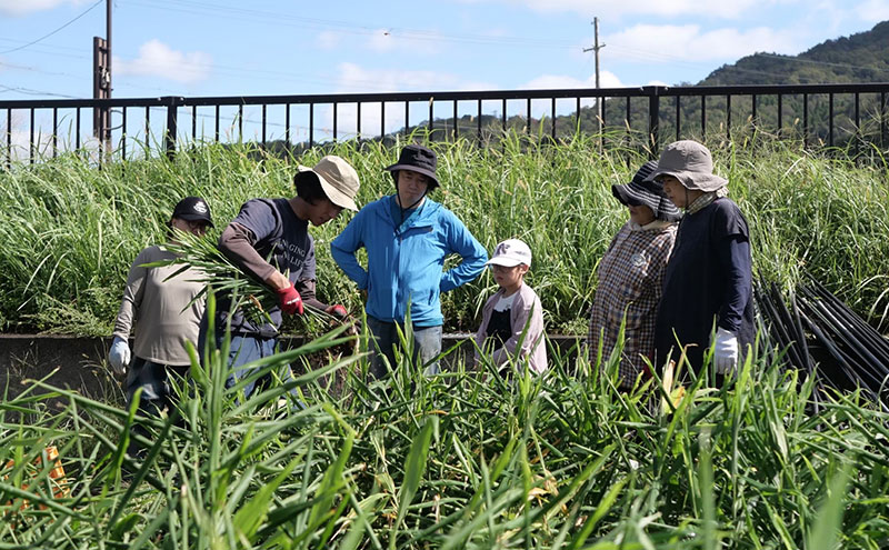 生姜の佃煮 3個