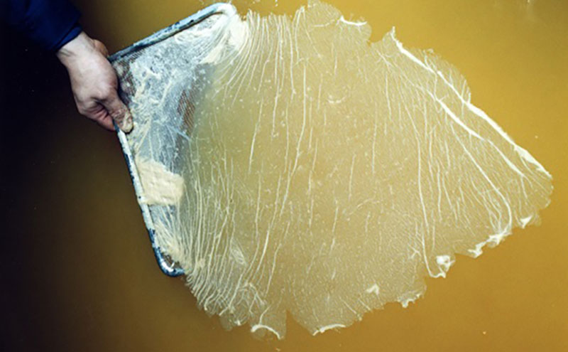 【毎日の料理が変わる】鮨の名店も愛用するお酢3本セット