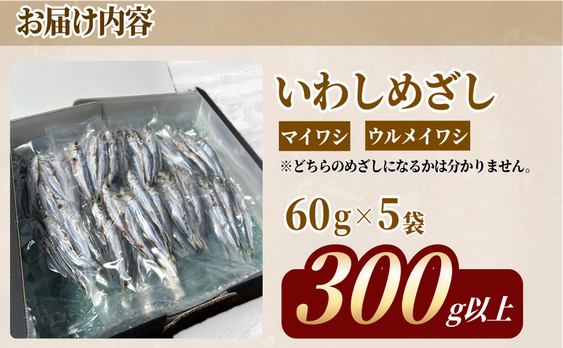 いわし　めざし　60g×5袋　マイワシ　ウルメイワシ | 鰯 真イワシ 魚 魚介 水産 網焼き 炭火焼 おつまみ 酒の肴 ご飯のお供 京都 宮津市