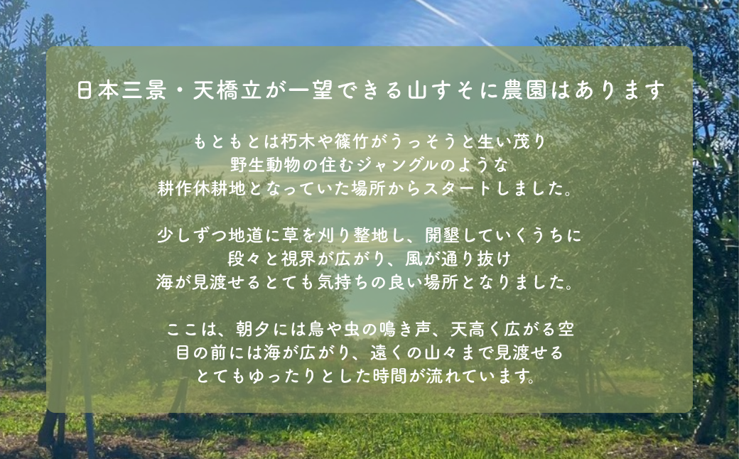 オリーブオイル 100g MAEDA OLIVE FARM 京都宮津産 100% 調味料 油 オイル オリーブ油 食用油 ギフトドレッシング 日用品 加工食品 天橋立 人気 おすすめ 健康