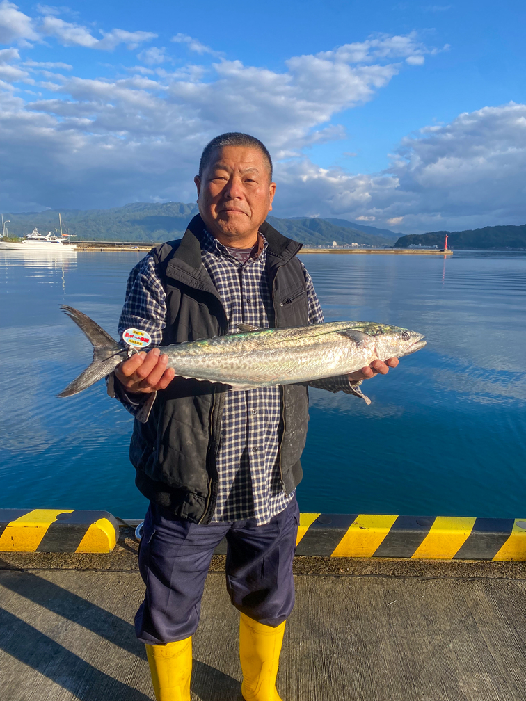 荳譛ャ驥」縲檎音驕ク闊ケ荳頑エサ縲繧オ繝ッ繝ゥ縲堺コャ驛ス螳ョ豢・