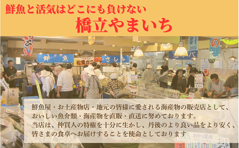 橋立やまいち自慢の魚のつみれ 4パックセット（冷蔵）1200g つみれ 魚 鍋 京都府 宮津市