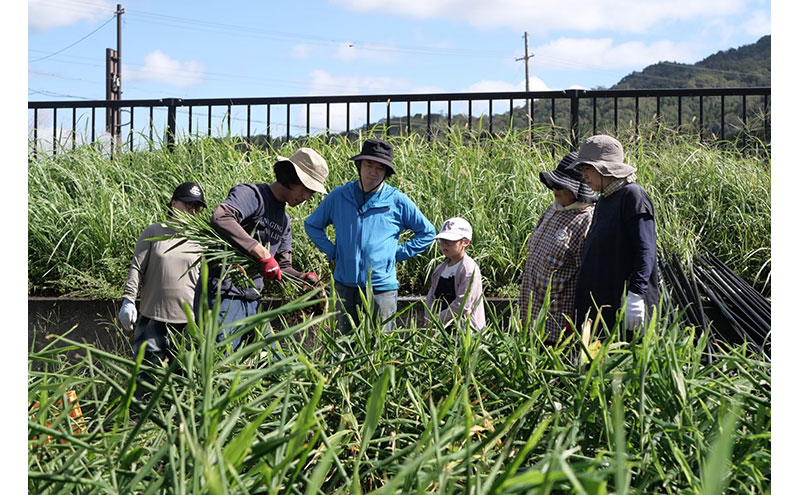 檸檬胡椒　3個　レモン れもん 調味料 スパイス 薬味 京都府 宮津市