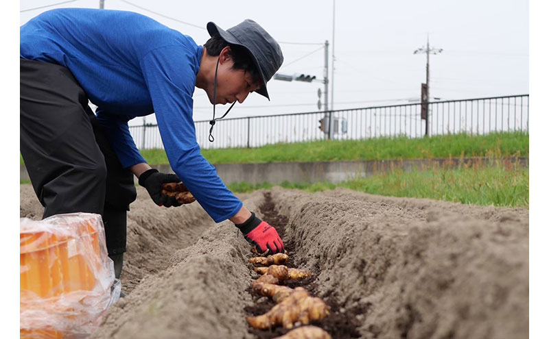 檸檬胡椒　3個　レモン れもん 調味料 スパイス 薬味 京都府 宮津市
