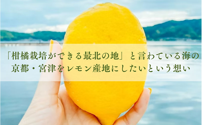 百章3点セット（檸檬胡椒・レモンシロップ・生姜の佃煮）　レモン れもん 調味料 スパイス 薬味 レモネード 佃煮 詰め合わせ 京都府 宮津市