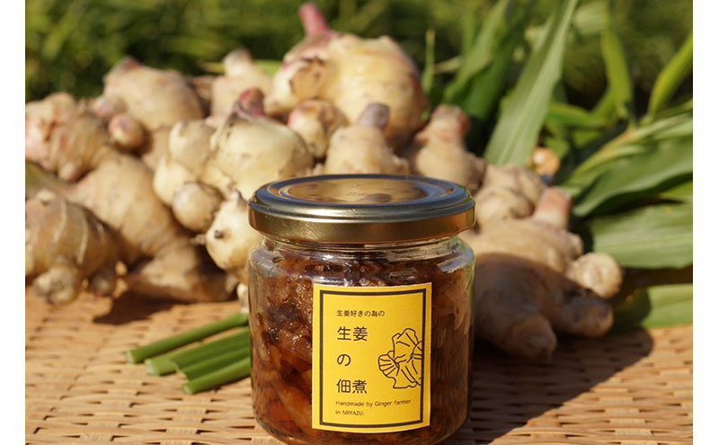 百章3点セット（檸檬胡椒・レモンシロップ・生姜の佃煮）　レモン れもん 調味料 スパイス 薬味 レモネード 佃煮 詰め合わせ 京都府 宮津市