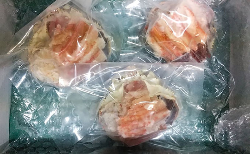 【配送日指定可】【数量限定】夫婦蟹 甲羅盛セット 松葉蟹 ほぐし身（特々特大）※活き蟹（1,200g級）とコッペがに（中サイズ3個）