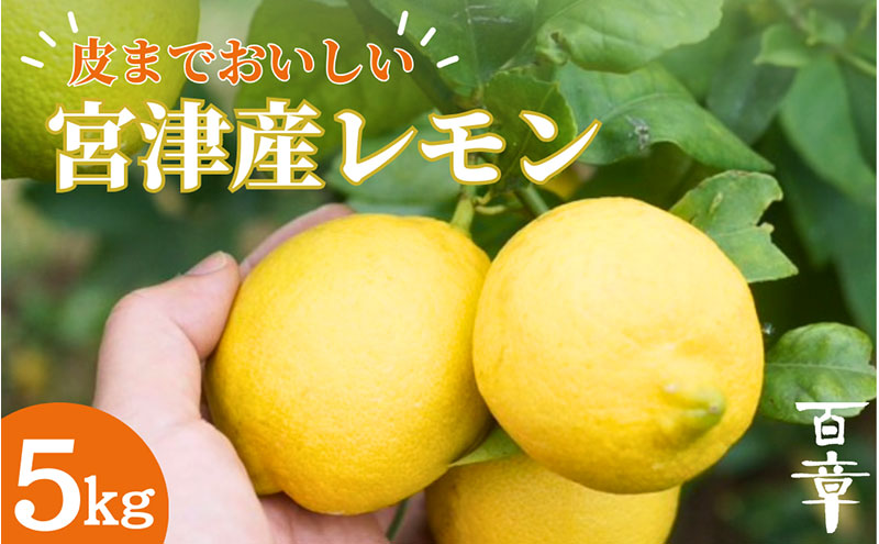 宮津産 レモン 5kg　国産 檸檬 柑橘類 果物 くだもの フルーツ 京都府 宮津市