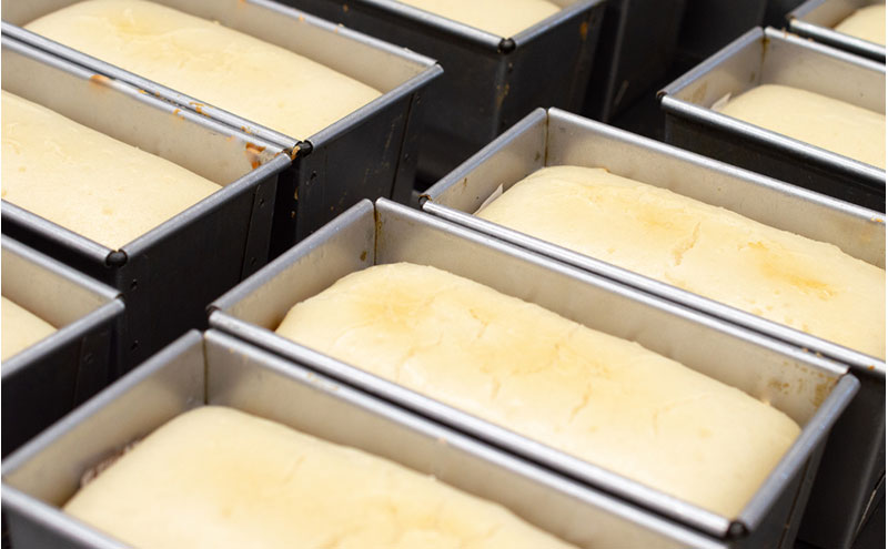 ファームベイク京都　絹米食パン 2本セット　グルテンフリー ヴィーガン 小麦粉不使用 米粉パン 国産米粉