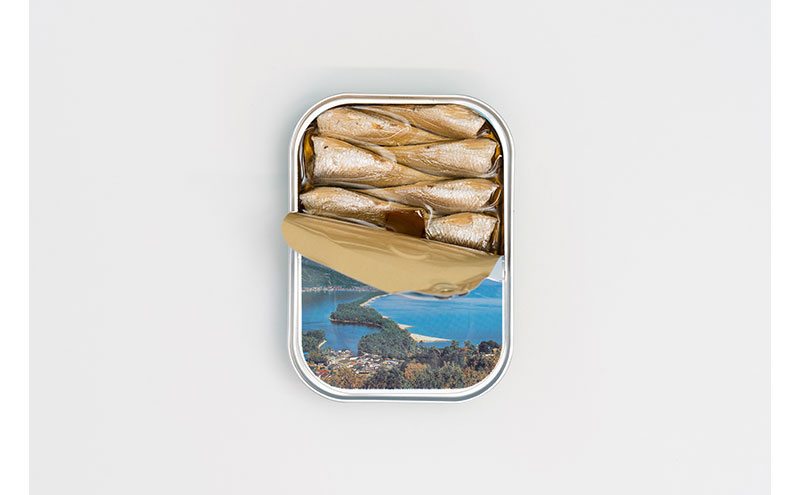 天橋立 オイルサーディン 缶詰 3個セット　竹中罐詰 加工食品 魚貝類 いわし 鰯 オイル漬け 料理 つまみ トッピング 非常食 お酒 酒 土産