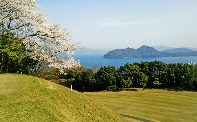 螳ョ豢・繧ォ繝ウ繝医Μ繝シ繧ッ繝ゥ繝 蜈ィ譌・繧サ繝ォ繝輔励Ξ繝シ蛻ゥ逕ィ蛻ク 繧エ繝ォ繝募エ蛻ゥ逕ィ讓ゥ