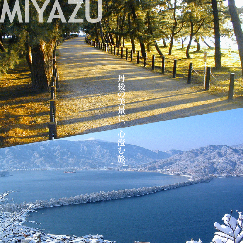 【京都ツアー】 宮津市 後から選べる旅行Webカタログで使える！旅行クーポン（300,000円分）碧海・松風・神話の地、天と地が繋がる旅へ。旅行券 宿泊券 飲食券 体験サービス券