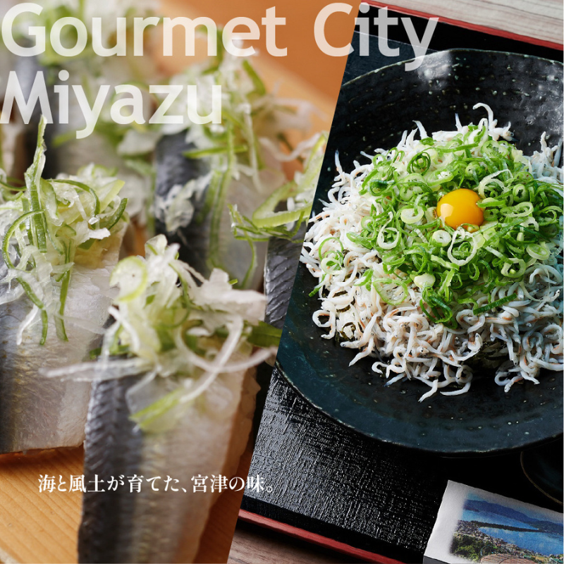 【京都ツアー】 宮津市 後から選べる旅行Webカタログで使える！旅行クーポン（900,000円分）碧海・松風・神話の地、天と地が繋がる旅へ。旅行券 宿泊券 飲食券 体験サービス券