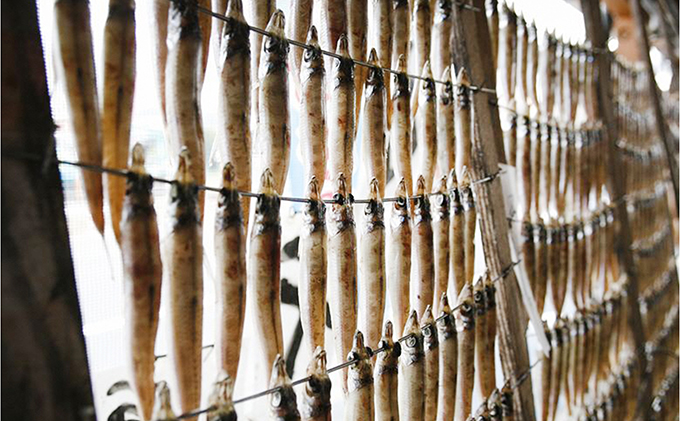 ふっくら柔らかい沖キスの一夜干し 14匹入 日本海 沖キス キス 一夜干し 干物 魚 ひもの おつまみ 日本酒 肴 珍味 ご飯のお供 魚貝類 