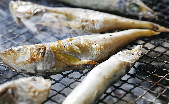 äžžã
倪ã£ããã¿ãã¿ããããã¿ãã¿ äžå€å¹²ã äžžå¹²ã ãåãå¯ã ç£å°çŽé é£å é£ã¹ç© ãã€ãŸã¿ éè²é¡ å¹²ç© èŽãç© ãã¬ãŒã³ã å®¶åºçš ãâ»2025幎4æäžæ¬ïœé 次çºéã