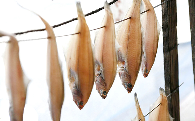 縲舌オ繧九&縺ィ邏咲ィ弱第葎縺ソ縺溘▲縺キ繧翫お繝繧ォ繝ャ繧、 (螟ァ 4蛹ケ) 鬲夊イ晞。 鬲 荳螟懷ケイ縺 繧ィ繝繧ォ繝ャ繧、 蟷イ迚ゥ 縺イ繧ゅョ 繧サ繝繝 譌・譛ャ驟 閧エ 迴榊袖 縺秘」ッ縺ョ縺贋セ 譌・譛ャ驟