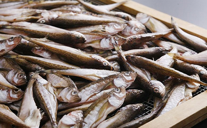 äžžã
倪ã£ããã¿ãã¿ããããã¿ãã¿ äžå€å¹²ã äžžå¹²ã ãåãå¯ã ç£å°çŽé é£å é£ã¹ç© ãã€ãŸã¿ éè²é¡ å¹²ç© èŽãç© ãã¬ãŒã³ã å®¶åºçš ãâ»2025幎4æäžæ¬ïœé 次çºéã