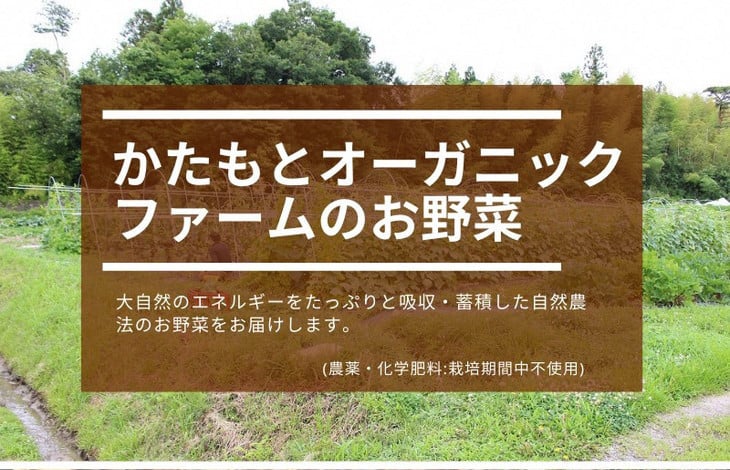 人参 4kg【期間限定】自然栽培の甘い 葉付き人参 京都府・亀岡産 かたもとオーガニックファームよりお届け 《訳あり サイズ不揃い にんじん 国産 京都産 栽培期間中農薬不使用 産地直送》 ※2025年1月～3月頃に順次発送 ※離島への発送不可