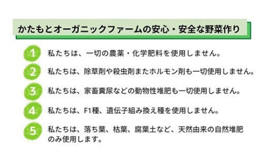 人参 4kg【期間限定】自然栽培の甘い 葉付き人参 京都府・亀岡産 かたもとオーガニックファームよりお届け 《訳あり サイズ不揃い にんじん 国産 京都産 栽培期間中農薬不使用 産地直送》 ※2025年1月～3月頃に順次発送 ※離島への発送不可