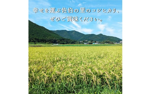 予約 野菜と米 12回 定期便 京都 佐伯の里 新鮮 旬の野菜セット 7～10品 コシヒカリ2kg 新米 定期便 12ヶ月 京都丹波・亀岡産 季節の野菜 詰め合わせ 訳あり 生活応援 ※北海道・沖縄・離島への配送不可 ※2025年9月下旬頃より順次発送