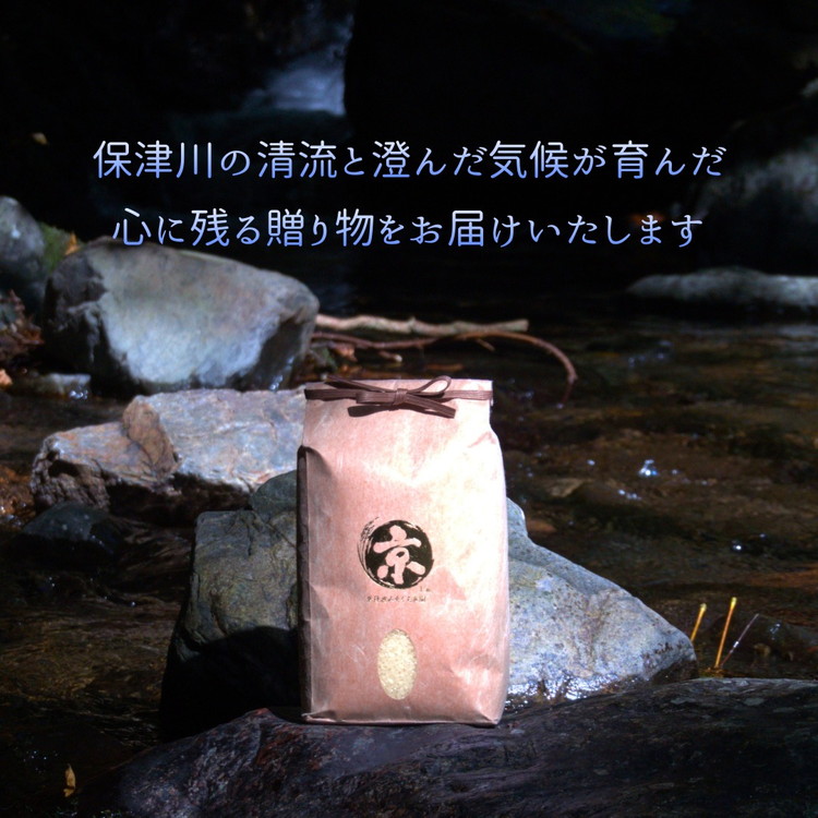 【令和7年産】京都府産きぬひかり《ねこ1.5kg》贈答用 発送直前精米 精米 白米 コメ ごはん ライス ご飯 ギフト 贈り物 