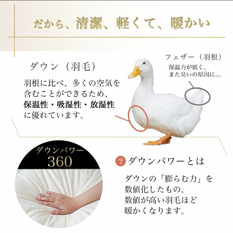 京éœéæ¡ è»œããŠæã èæã 矜æ¯åžå£ ã·ã³ã°ã«ãµã€ãºÃ1æ ãã³ã¬ãªãŒãã¯ã€ãããŠã³90ïŒ
DP360 ã·ã³ãã« ã¢ã¯ã¢