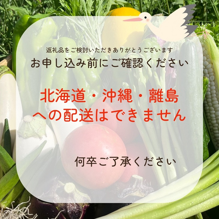 予約 野菜と米 12回 定期便 京都 佐伯の里 新鮮 旬の野菜セット 7～10品 コシヒカリ2kg 新米 定期便 12ヶ月 京都丹波・亀岡産 季節の野菜 詰め合わせ 訳あり 生活応援 ※北海道・沖縄・離島への配送不可 ※2025年9月下旬頃より順次発送