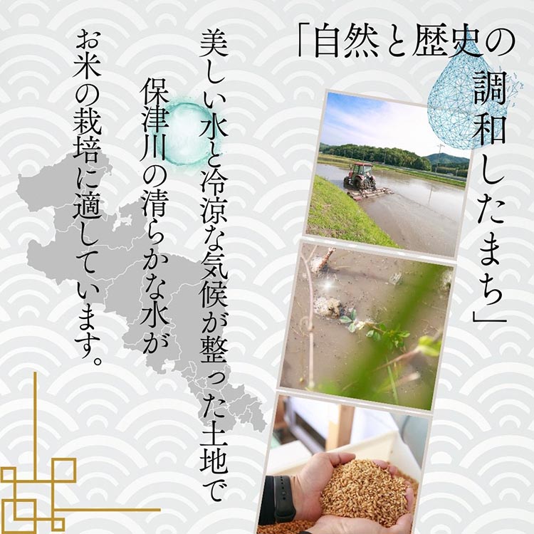 令和6年産 新米 京都府産 キヌヒカリ 白米 10kg ｜ 米 お米 コメ 白米 精米したて ごはん ご飯 京都丹波米 ※2024年10月上旬以降に順次発送予定 ※北海道・沖縄・離島への配送不可