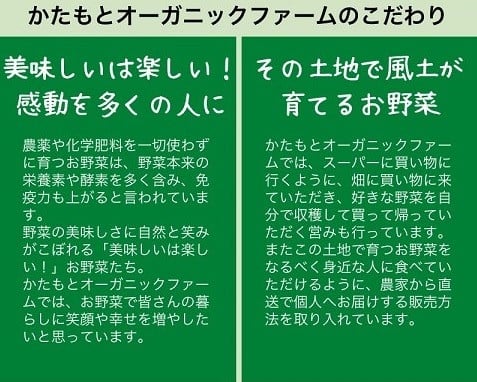 人参 4kg【期間限定】自然栽培の甘い 葉付き人参 京都府・亀岡産 かたもとオーガニックファームよりお届け 《訳あり サイズ不揃い にんじん 国産 京都産 栽培期間中農薬不使用 産地直送》 ※2025年1月～3月頃に順次発送 ※離島への発送不可