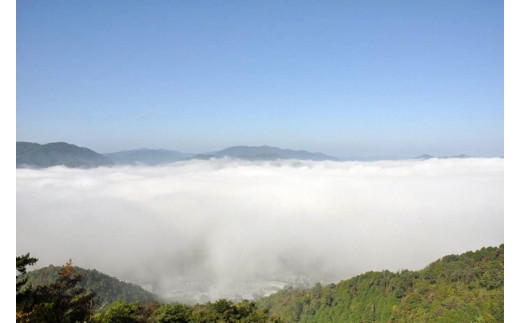 亀岡カントリークラブ利用補助券　A3,000円相当分×10枚