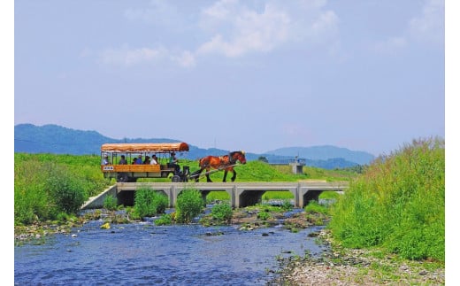 京馬車で行くトロッコ亀岡駅から保津川下り乗船場コース チケット 子ども（4歳から12歳まで） 1枚 ※（要予約）ご利用前に予約が必要です。