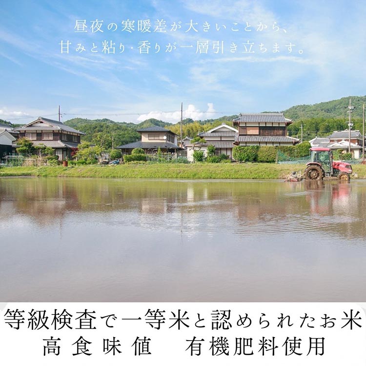 令和6年産 新米 京都府産 キヌヒカリ 白米 10kg ｜ 米 お米 コメ 白米 精米したて ごはん ご飯 京都丹波米 ※2024年10月上旬以降に順次発送予定 ※北海道・沖縄・離島への配送不可