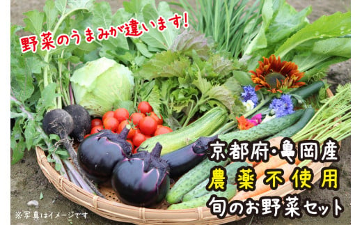 【6回定期便】京都府・亀岡産 自然農法＆農薬を使わずに育てた体も心も喜ぶ、かたもとオーガニックファームの季節のお野菜セット 毎回10〜20品目　※離島への発送不可