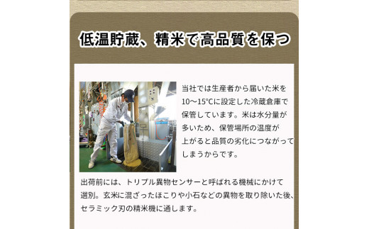 【定期便】令和6年産 新米 訳あり 京都丹波米こしひかり10kg×3回 計30kg◆ 米 3ヶ月 白米 3回定期便 ※精米したてをお届け コシヒカリ ※毎月1回又は2カ月に1回 ※北海道・沖縄・離島への配送不可 ※2024年10月上旬以降順次発送予定