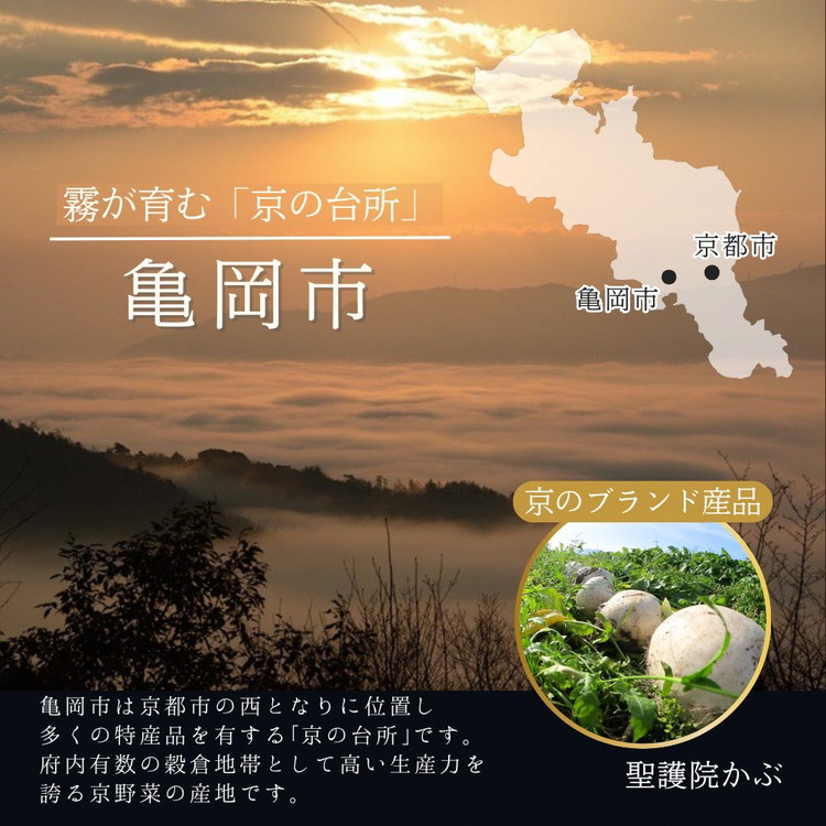 おせち 2026 京都 亀岡市 京菜味のむら 京のおせち 二段重 32品目 2人前 3人前 ふるさと納税おせち 2段 急速冷凍 解凍するだけで本格京おせち 京都 2026 送料無料≫※12/29到着 ※離島へのお届け不可