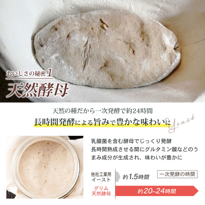 6回定期便 天然酵母 食パン 3種セット《国産小麦 無添加 パン 詰め合わせ  セット 朝食 京都》　※北海道・沖縄・離島への配送不可