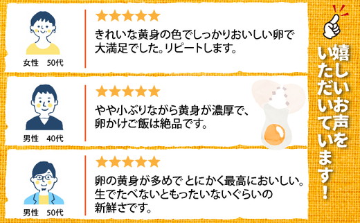 新鮮 卵 120個（100個+卵割れ保証20個）(10個×12パック)京都丹波『霧の卵』三和鶏園 ≪たまご タマゴ 玉子 生卵 鶏卵 小分け 贈答 ギフト ふるさと納税 卵 直送 冷蔵 朝食 料理 人気≫ ※北海道・沖縄・離島への配送不可