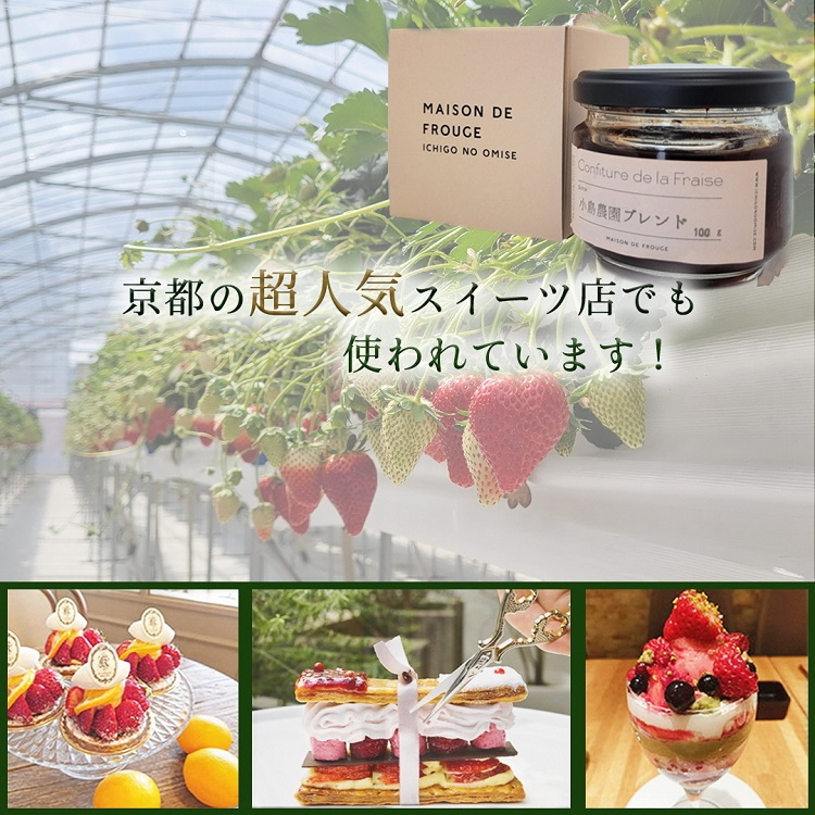 高級 京いちご 完熟 朝採れ 1箱 約450g 小島農園 紅ほっぺ おいCベリー スターナイトから厳選してお届け≪期間限定 苺 イチゴ 旬≫※離島への配送不可 ※2026年1月中旬～5月上旬頃に順次発送予定