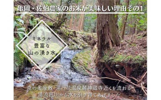 【令和6年産先行予約】米 定期便 10kg×2ヶ月 20kg コシヒカリ 佐伯の里の源流米 希少 農家直送 令和6年産 新米 白米 10キロ 2回 低農薬米 減農薬米 京都丹波産 こしひかり 家計応援 生活応援 ※北海道・沖縄・離島配送不可 ※2024年10月以降発送予定
