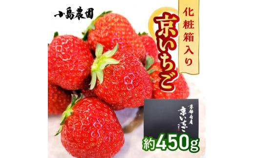 【数量限定】高級 完熟 京いちご 1箱 希少 お楽しみ【紅ほっぺ おいCベリー スターナイト から厳選してお届け】人気 小島農園 減農薬 果実 新鮮 フルーツ 旬 いちご 苺 有名 スイーツ店 御用達 ※2025年1月中旬～5月下旬頃に順次発送予定