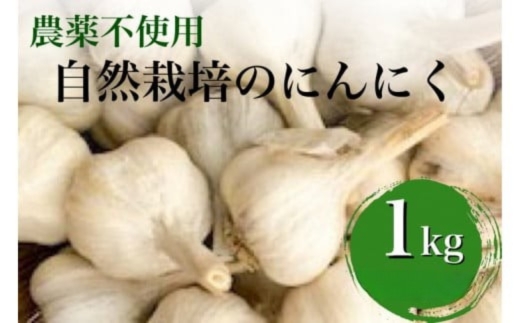 【2026年産 予約】にんにく 1kg 京都府・亀岡産 自然栽培のかたもとオーガニックファームよりお届け ※離島への発送不可 ※2026年6月下旬～10月下旬頃に順次発送予定