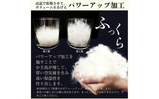 ＜京都金桝＞羽毛 肌ふとん シングル ホワイトダックダウン85% 羽毛布団 掛け布団 肌掛け 日本製 ダウンケット ｜ 寝具 布団 国産 洗濯可 夏 夏用 洗える 便利 シンプル 無地 軽量 新生活 ふるさと納税布団 ｜ ラークル