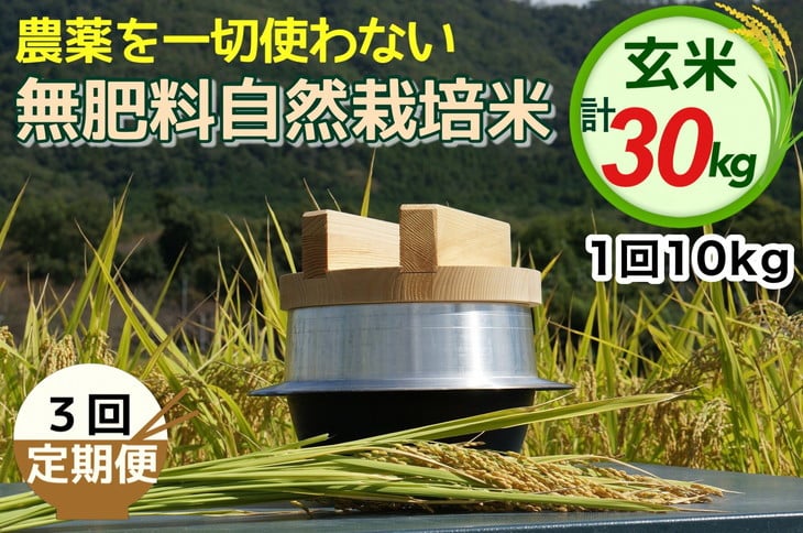 【3回定期便】自然栽培米 にこまる ＜農薬を一切使わない無肥料栽培＞ 玄米 10kg × 3ヶ月 計30kg《令和6年産 新米 京都丹波産 無農薬米栽培向き 厳選品種》