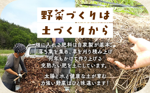 【12回定期便】＜アスカ有機農園＞旬の京野菜セットL（平飼い卵付）＊毎月お届け全12回《野菜定期便 野菜詰め合わせ 野菜セット 京野菜 旬の野菜 新鮮野菜 有機野菜 無農薬野菜 卵》