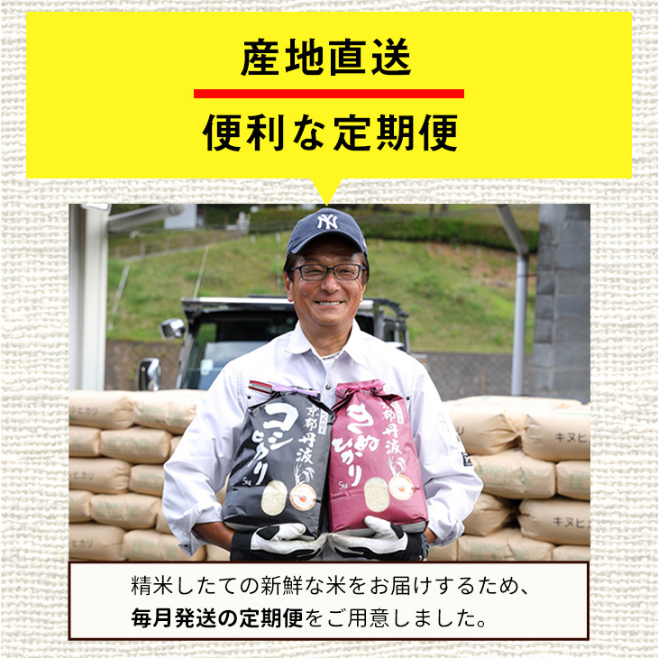 【定期便】令和6年産 新米 訳あり 京都丹波米こしひかり10kg×3回 計30kg◆ 米 3ヶ月 白米 3回定期便 ※精米したてをお届け コシヒカリ ※毎月1回又は2カ月に1回 ※北海道・沖縄・離島への配送不可 ※2024年10月上旬以降順次発送予定